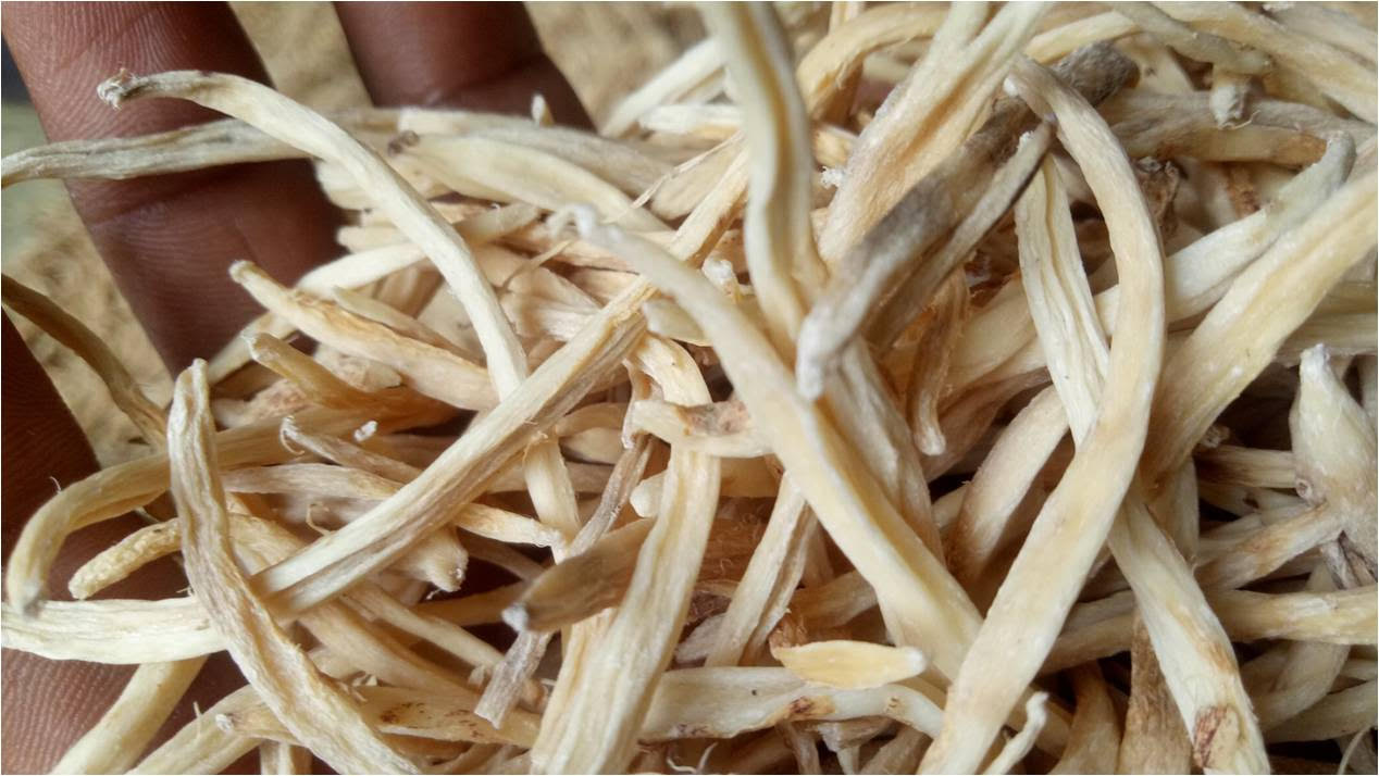 Find out the history, benefits and nutritional facts about Safed (white