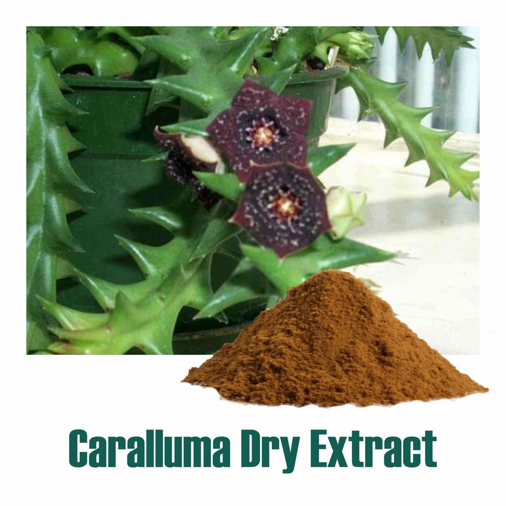 How does Caralluma Fimbriata benefits in weight loss Jairamdass Khushiram