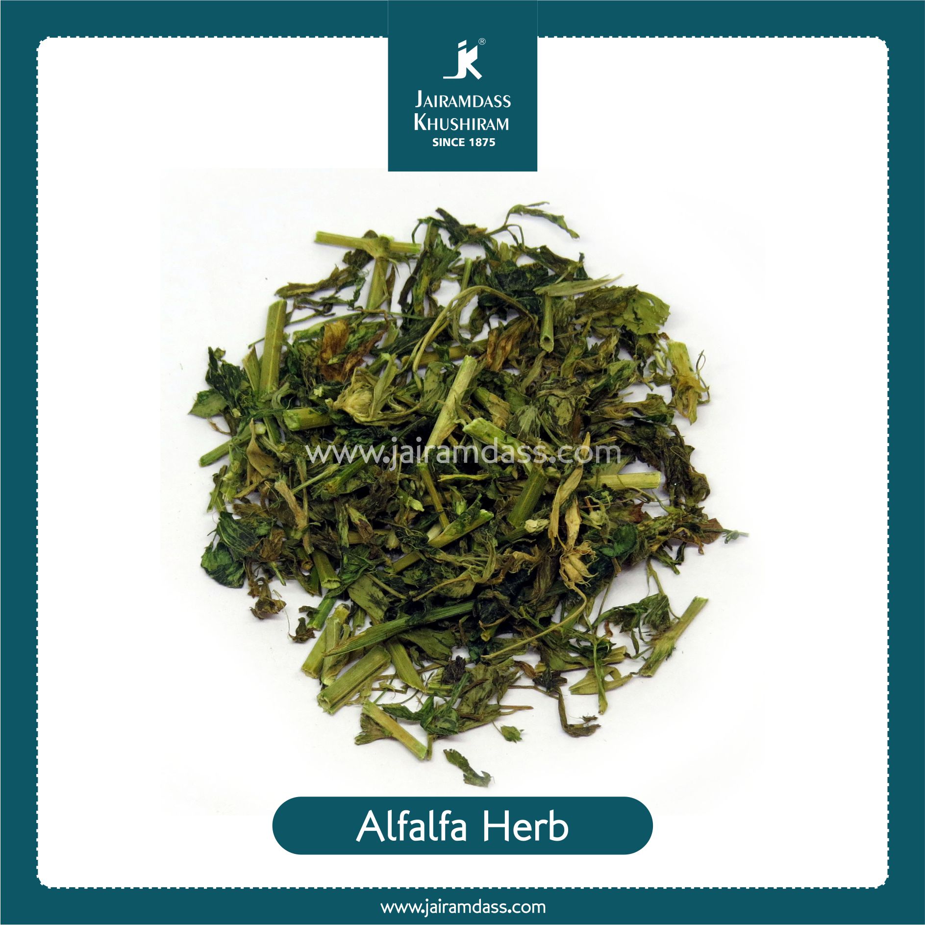 Alfalfa Herb