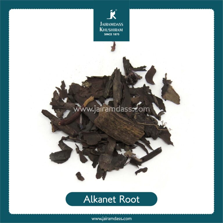 Root Arnebia Nobilis Ratanjot Herbs Jairamdass Khushiram