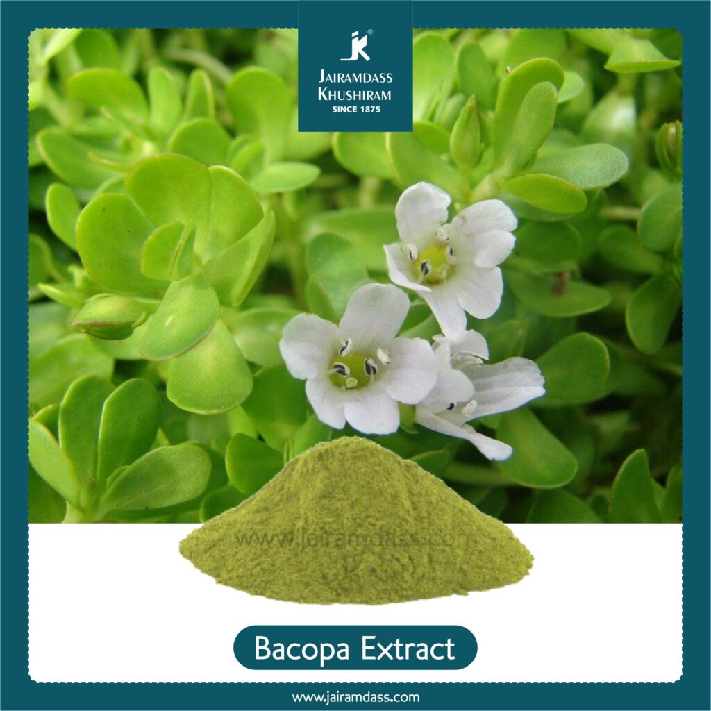 bacopa extract benefits | Jairamdass Khushiram