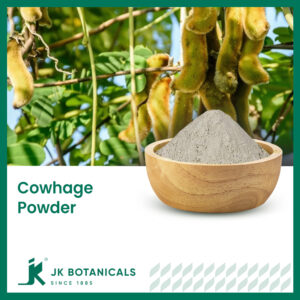 Cowhage Powder | Mucuna Pruriens | Botanical Powders | JK Botanicals