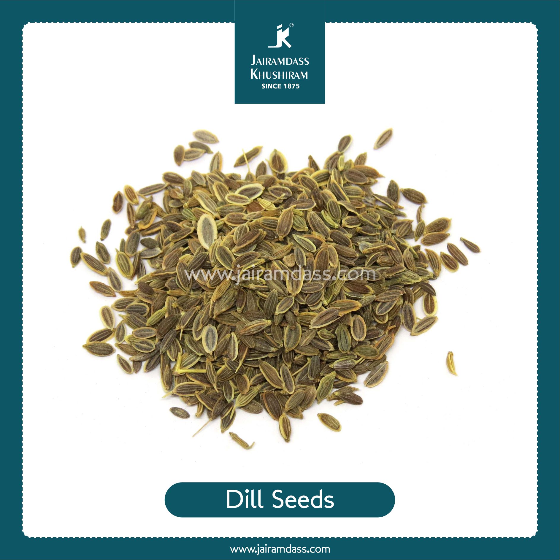 Dill Seeds