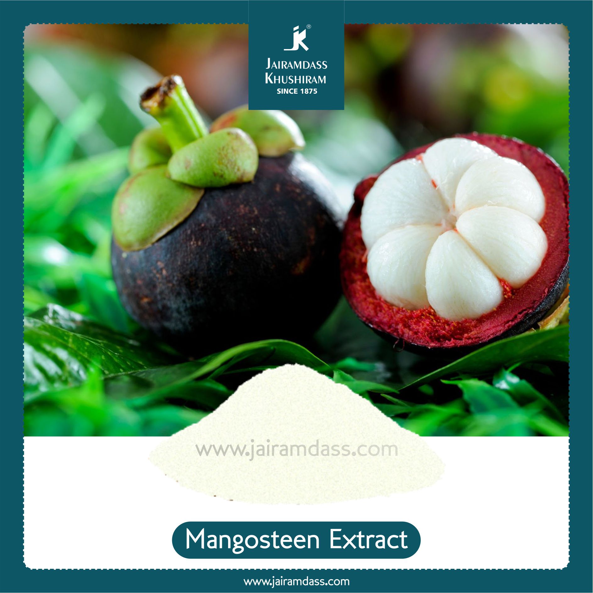 Garcinia Mangostana (Mangostin) Extract