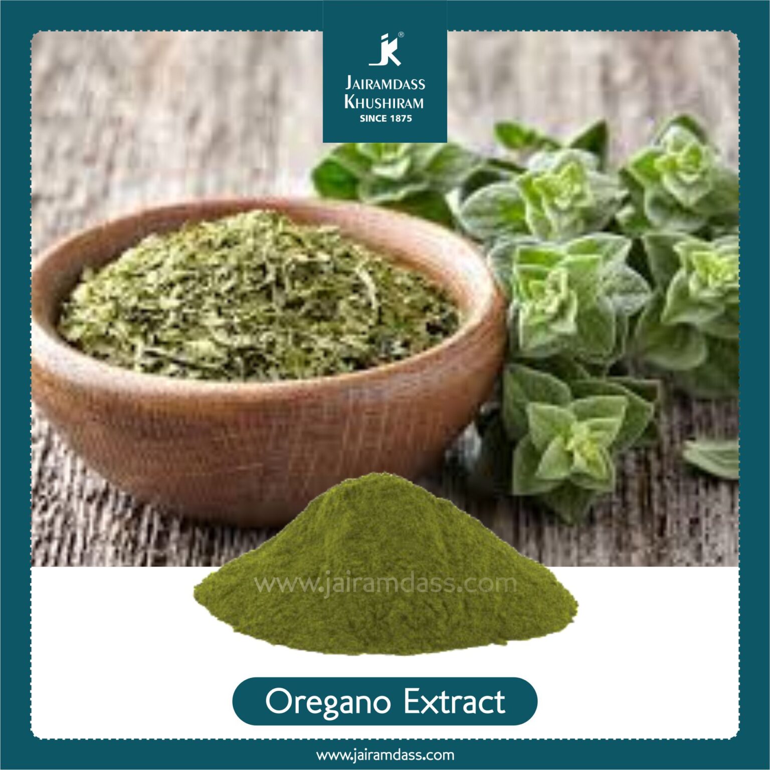 Oregano Extract Origanum Vulgare Herbal Extracts Jairamdass Khushiram