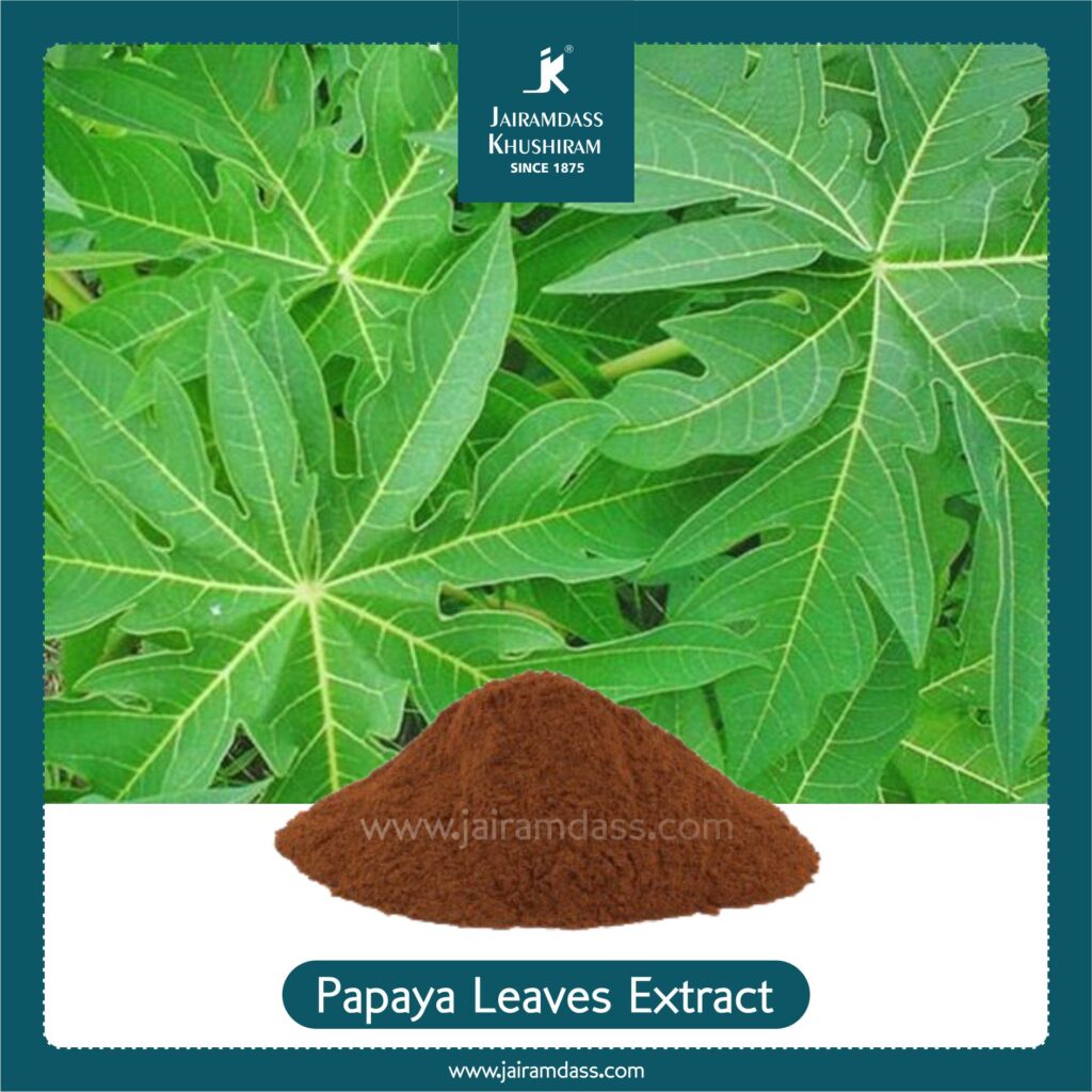 Papaya Leaves Extract Carica Papaya Glycosides Herbal Extracts
