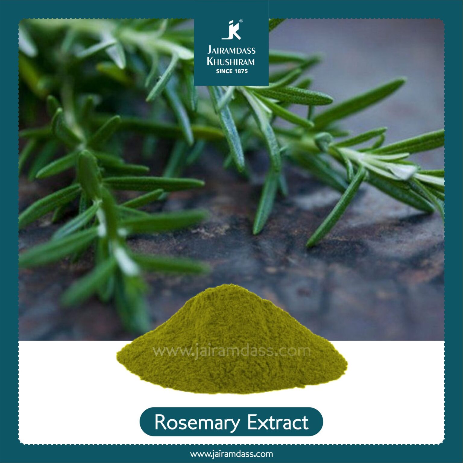 Rosemary Extract Rosmarinus Officinalis Herbal Extracts Jairamdass