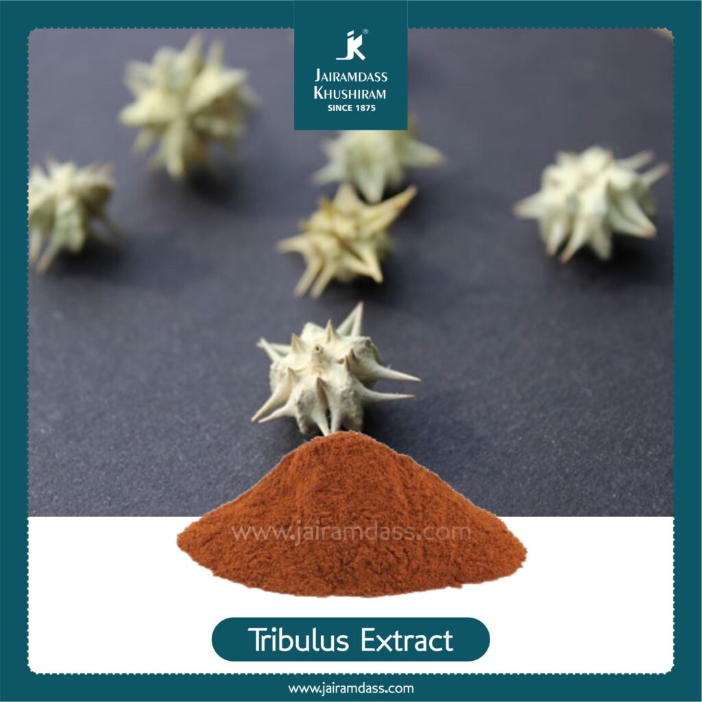 Gokhru Caltrops Extract Tribulus Terrestris Herbal Extracts