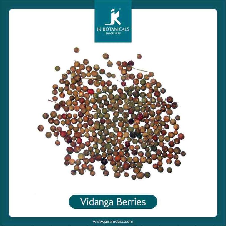 Vidanga Berries Embelia Ribes Herbs JK Botanicals vidanga-berries-embelia-ribes-herbs-jk-botanicals