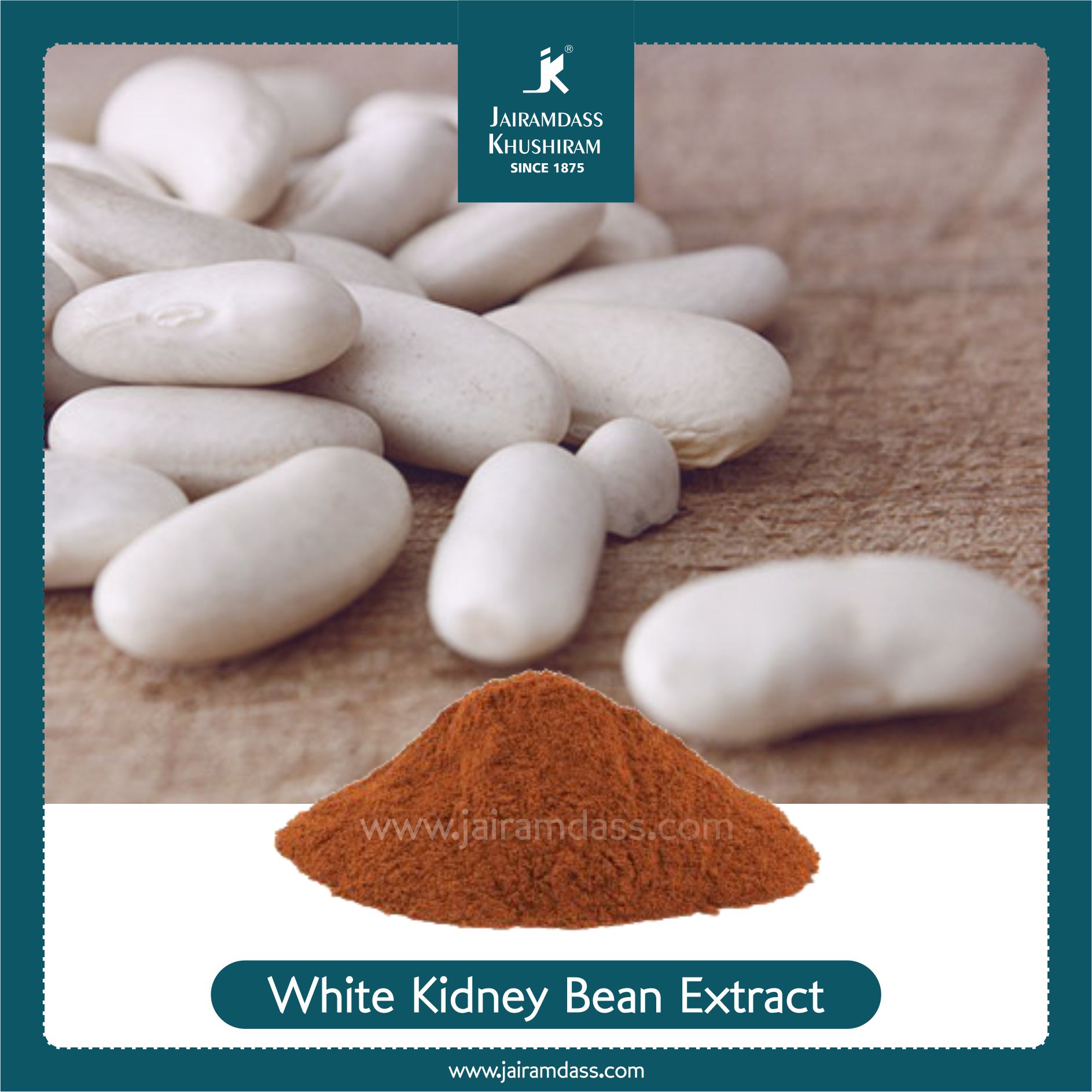 White Kidney Bean Extract