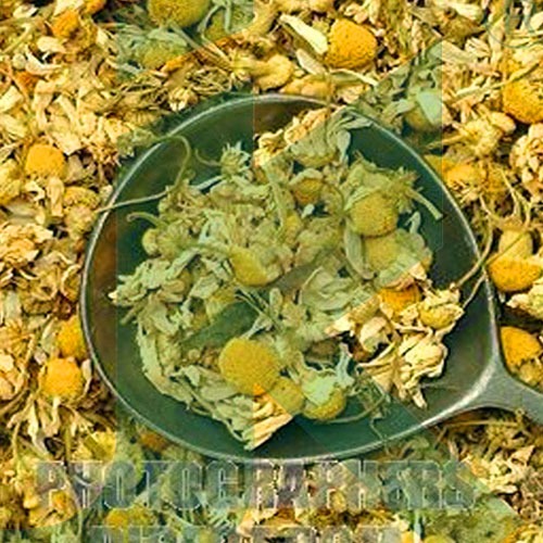 Chamomile Flowers