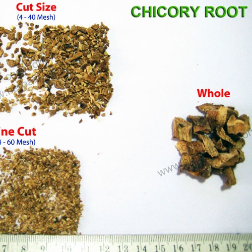 Chicory Root Cut