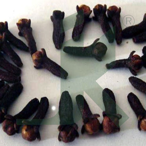 Cloves