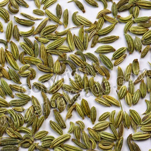 Fennel Seeds