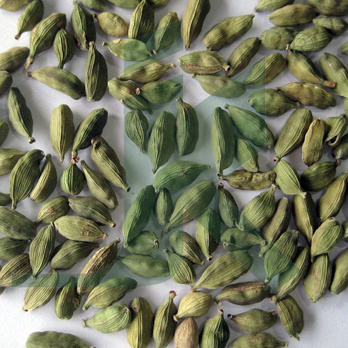 Green Cardamom