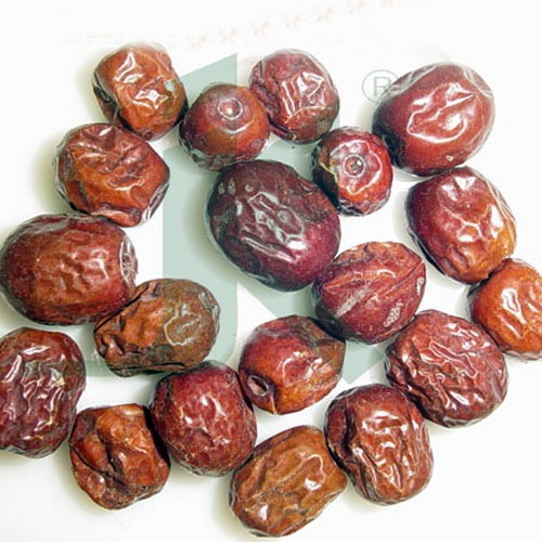 Jujube Fruit Ziziphus Jujuba Bore Fruit Herbs Jairamdass Khushiram Jujube Fruit Ziziphus Jujuba Bore Fruit Herbs Jairamdass Khushiram